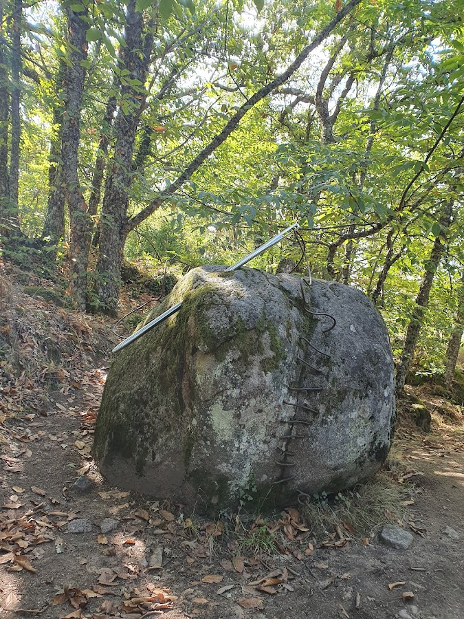 Ruta Bosque de Los Espejos