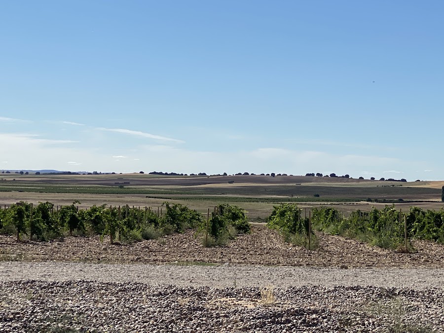 Restaurantes en El Pego provincia de Zamora