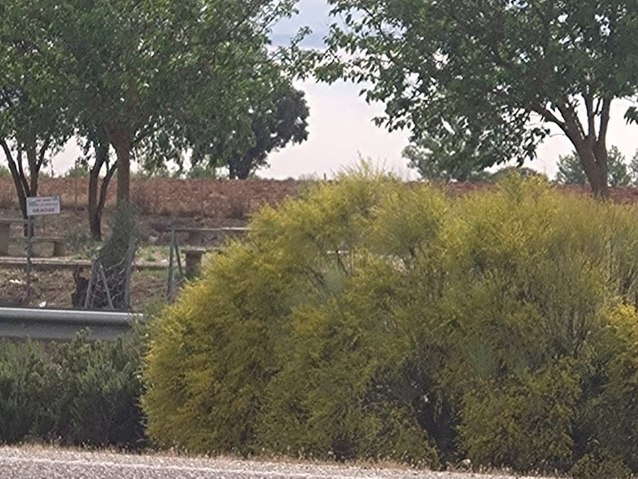 Area de Descanso Matilla de Arzón