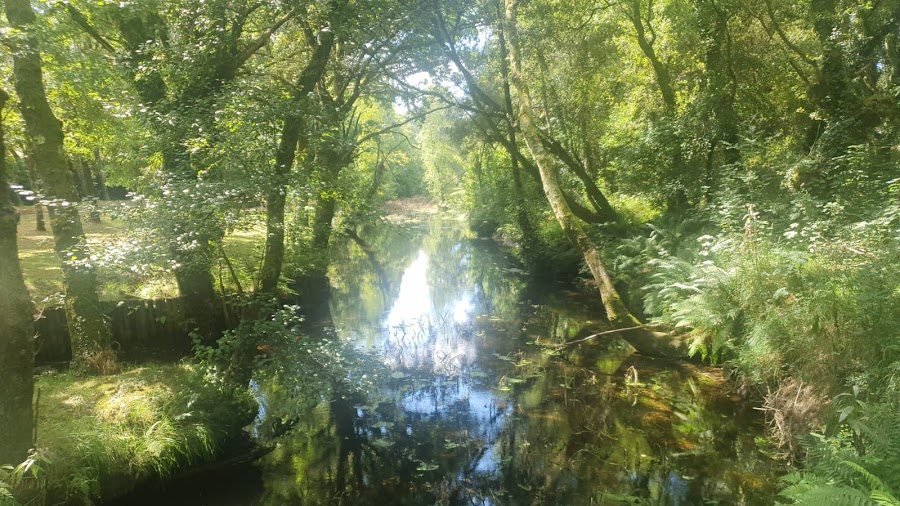 Área Recreativa A Madalena