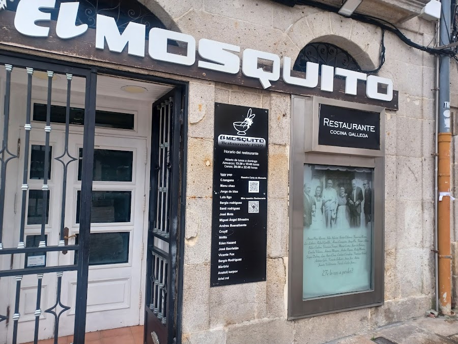 El Mosquito vigo
