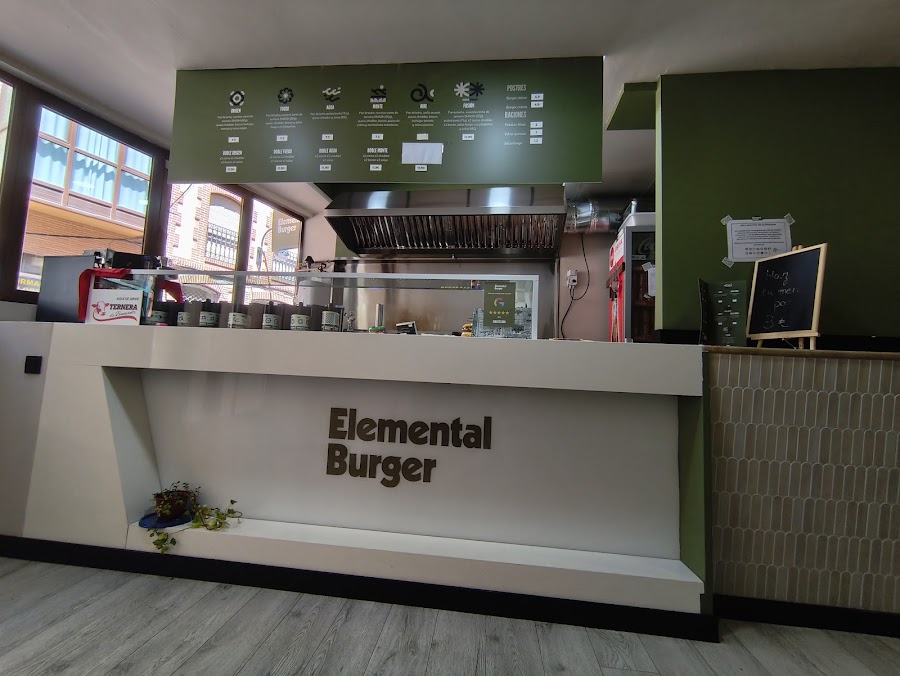Elemental Burger