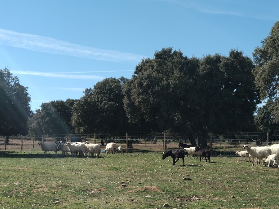 Hacienda Zorita Organic Farm