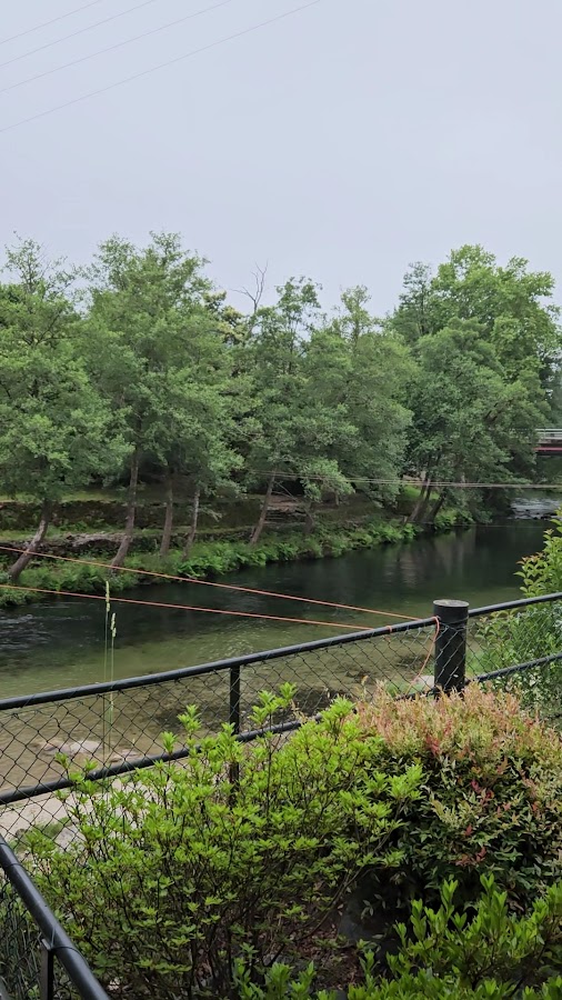 Restaurante Ladelrio